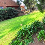 houses for sale with flat