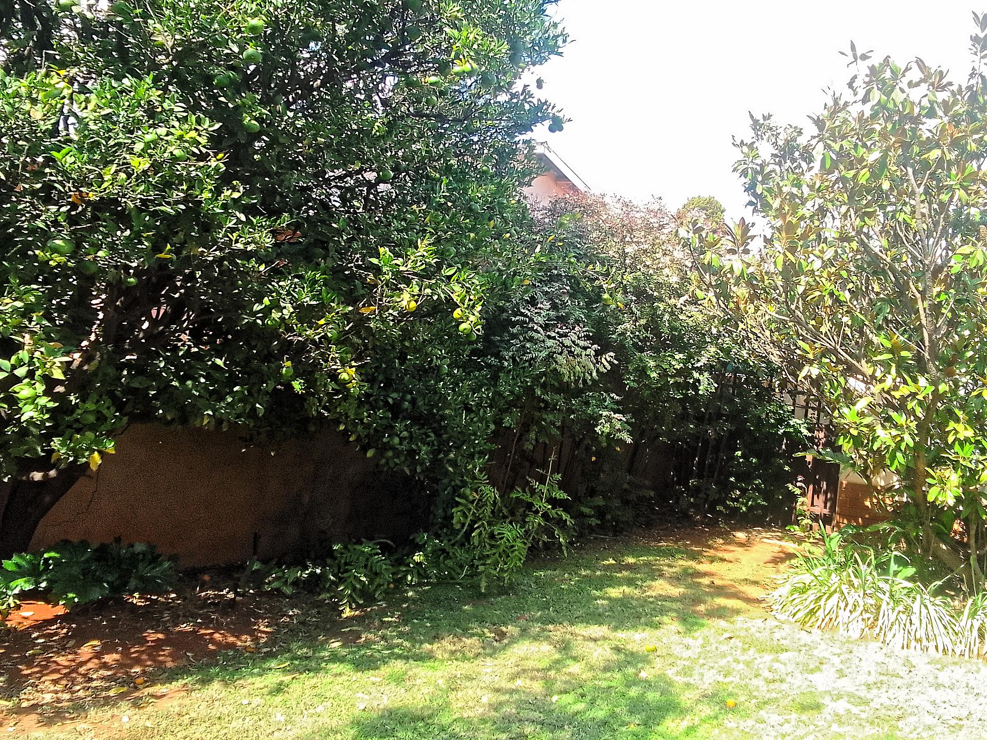 Golden Oldies 4 Bed House for Sale in Silverton