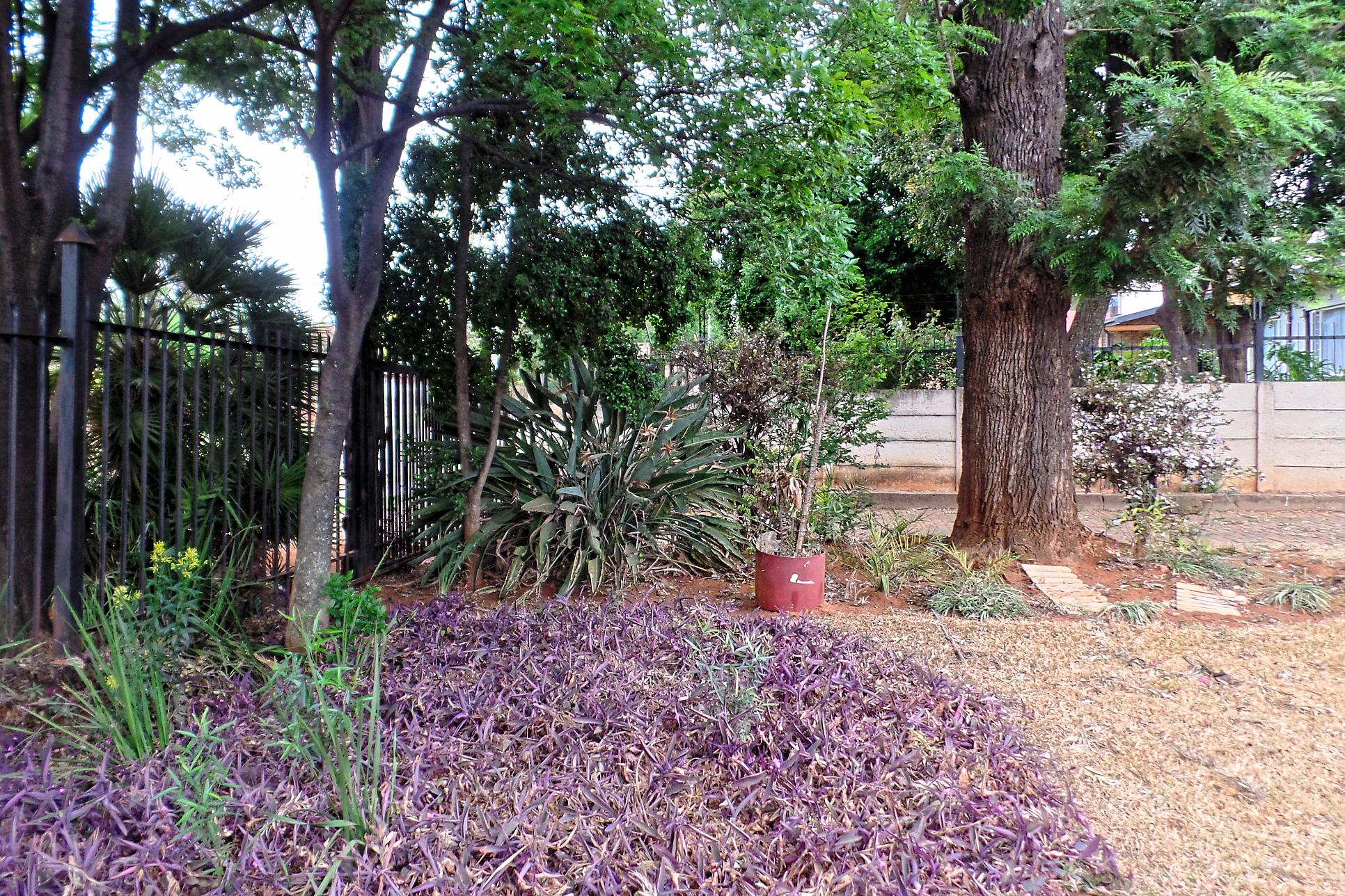 2-Bedroom House for Rent
