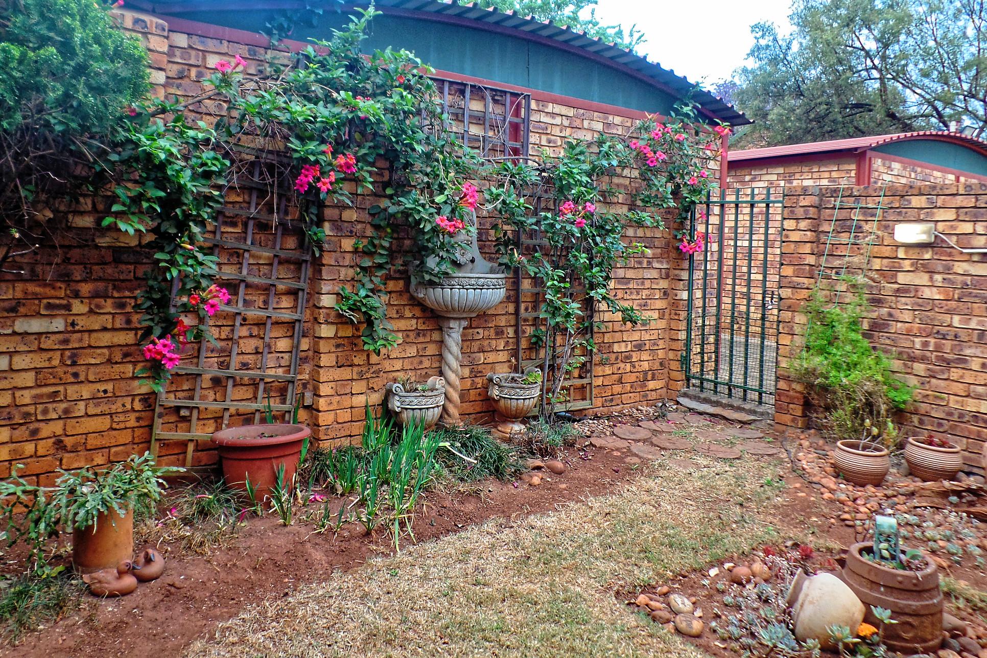 Front Garden with beautiful flowers