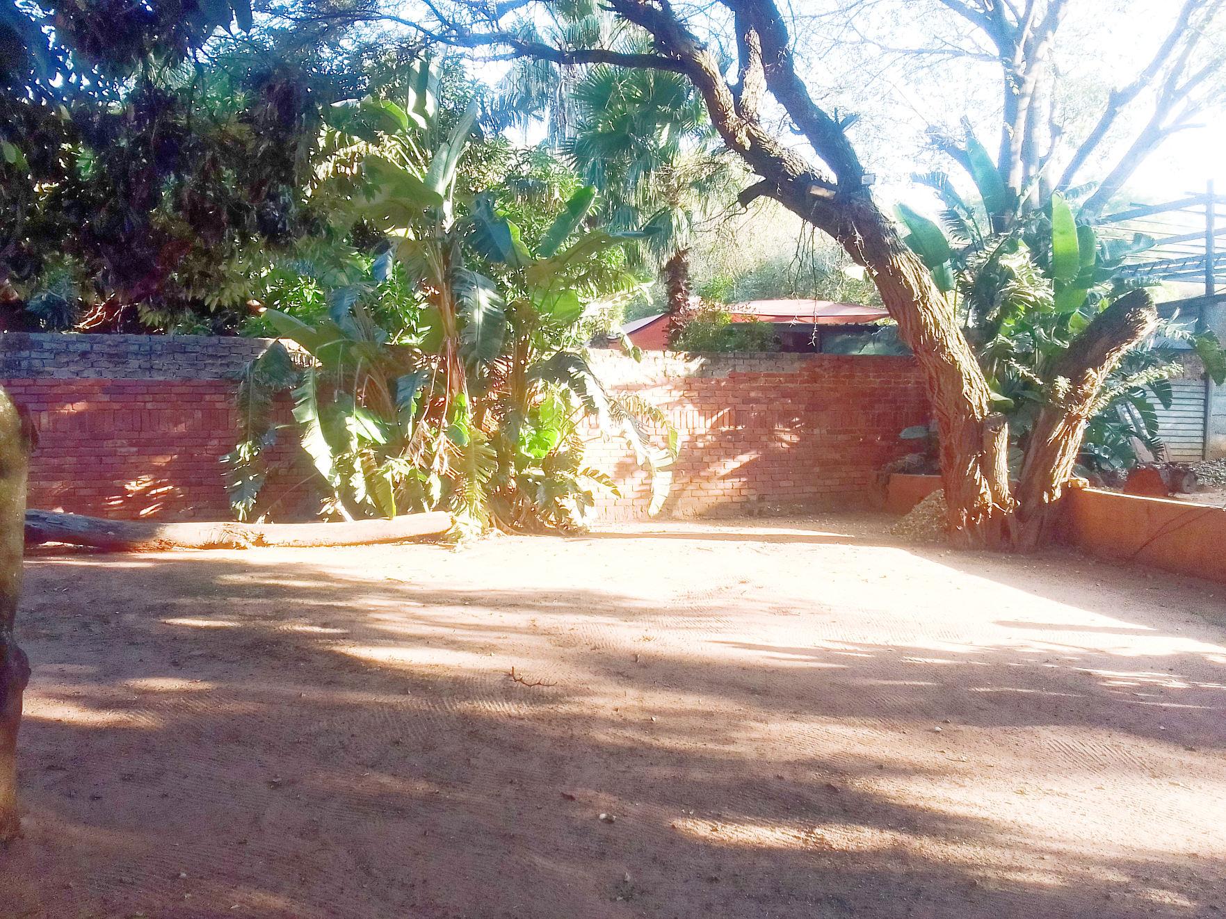 Charming 4-Bed Family Home in Pretoria North