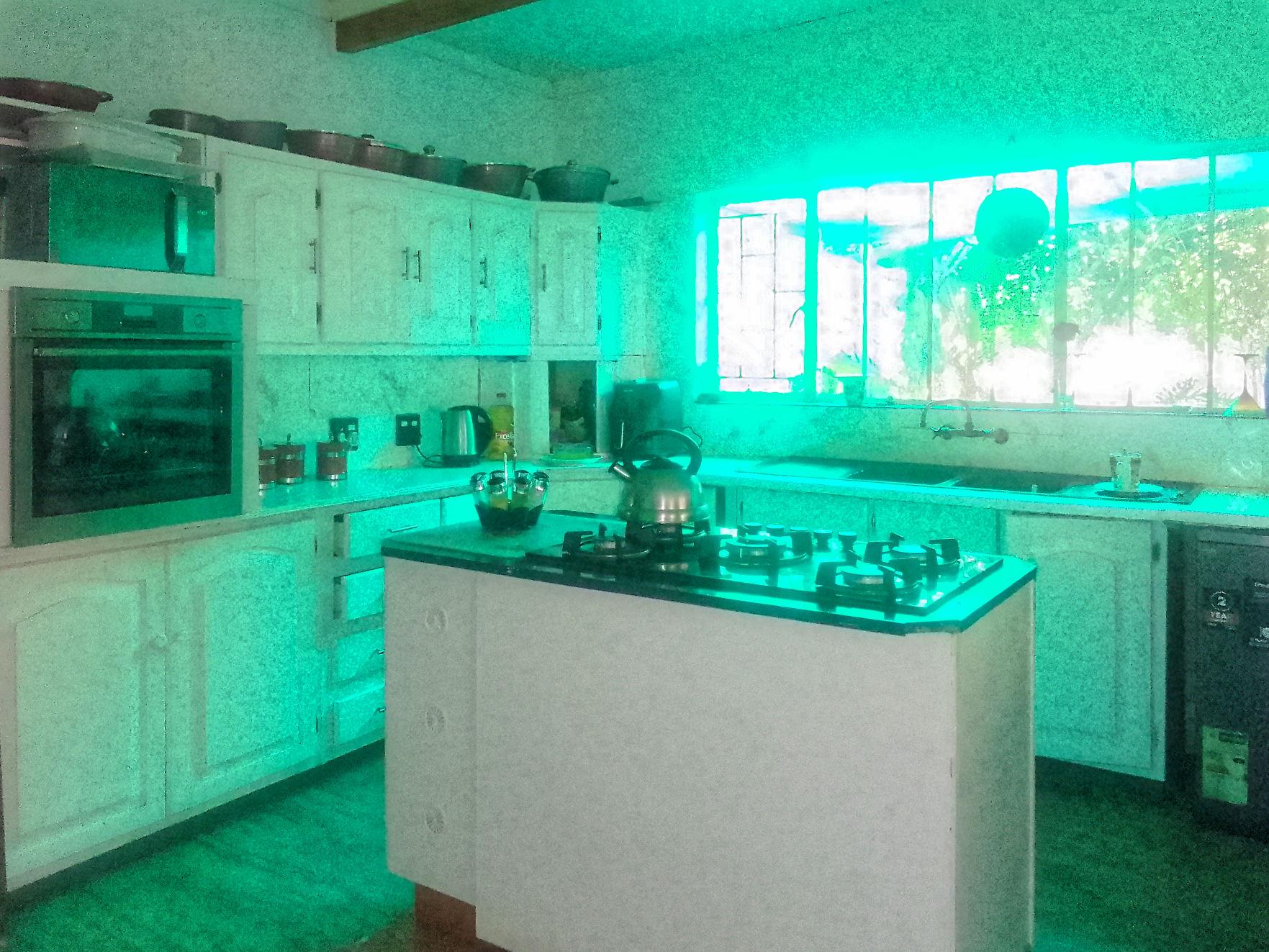Golden Old Family Home to Rent