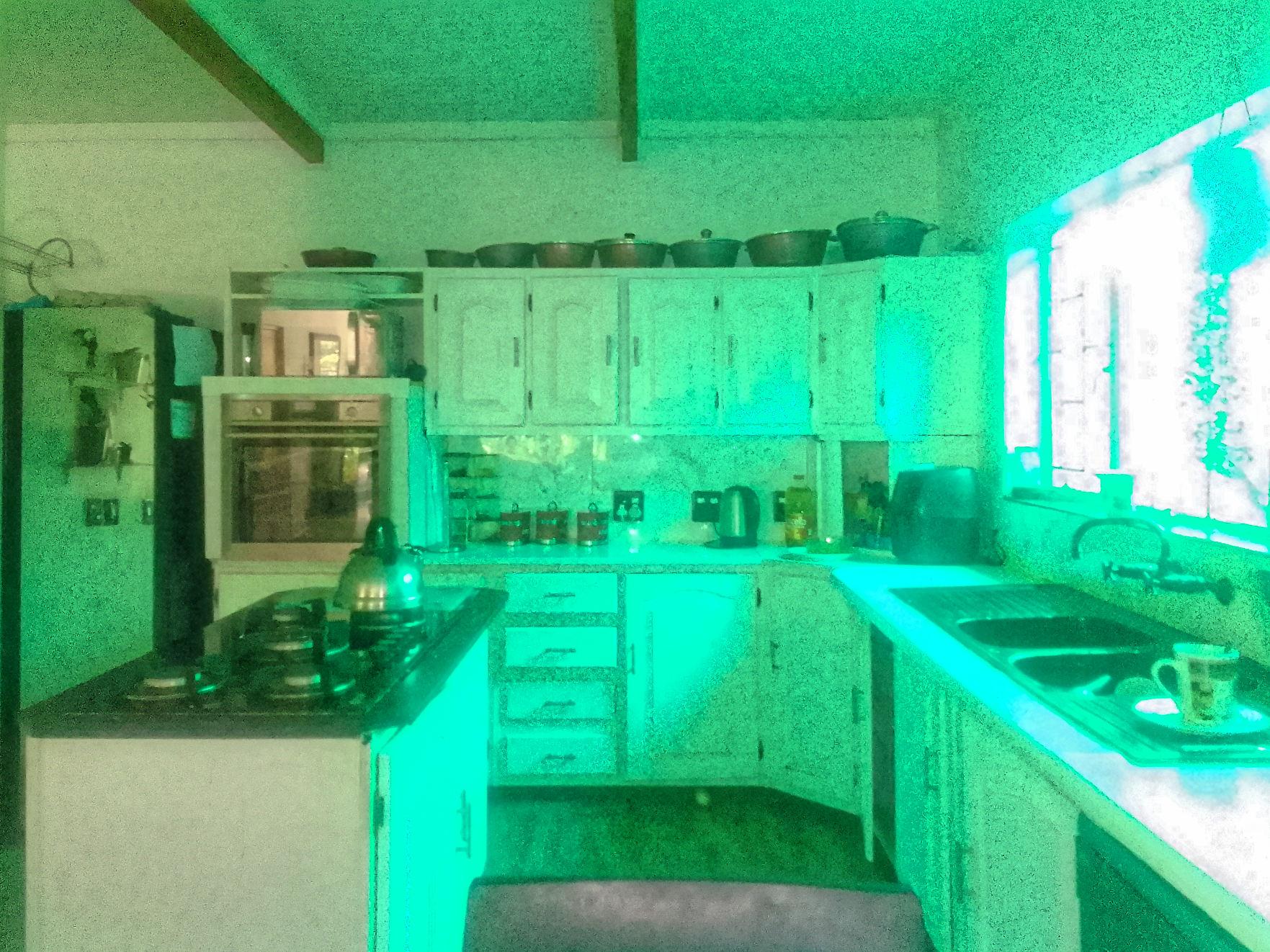 Golden Old Family Home to Rent